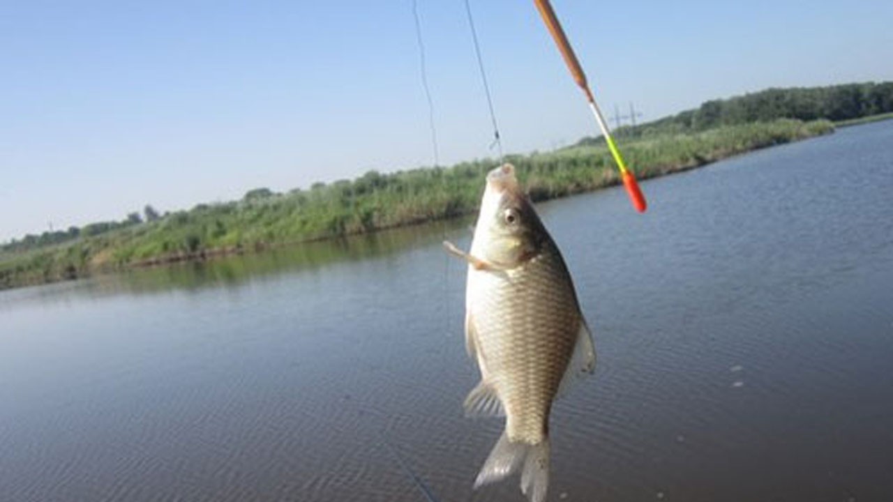 На річках закінчилась заборона на вилов риби у період нересту